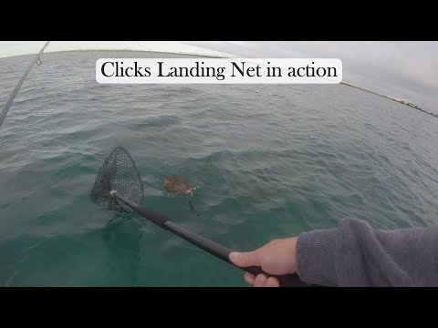  Oct 2024 - Ep 6- Chasing Calamari - Clicks Jigs Prospec Landing net