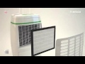 Meaco 12 Litre Platinum Low Energy Dehumidifier