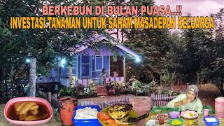 Download lagu BERKEBUN DI BULAN PUASA..!! INVESTASI TANAMAN UNTUK SAHAM MASADEPAN KELUARGA mp3
