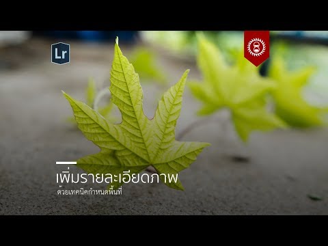 คลิกเพื่อดูคลิปวิดีโอ