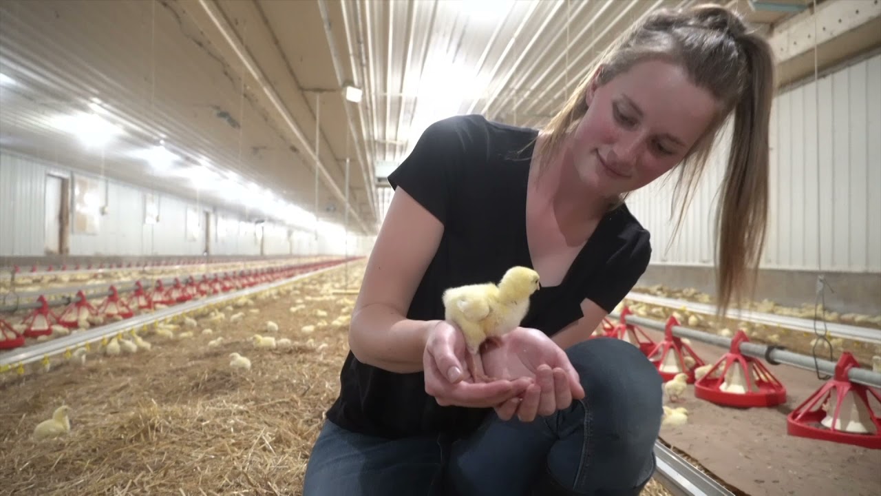 Come on a Farm Tour with Us!