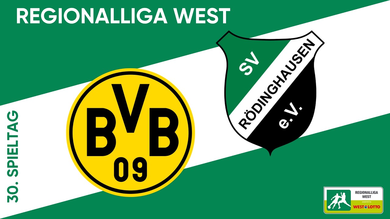Borussia Dortmund II U23 vs SV Rödinghausen Highlights