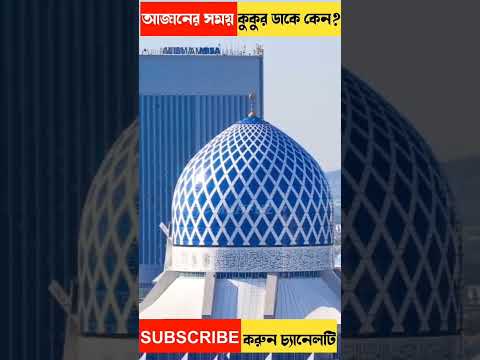 আযানের সময় কুকুর ডাকে কেন #shorts #viral #dogdog price hike