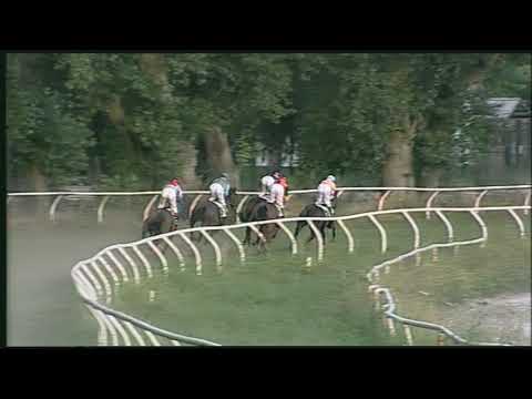Galoppo 26/06/2020 - 6ª corsa