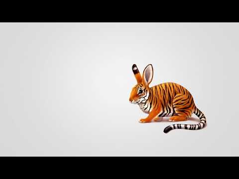 Keep It In The Zone - Johan Glössner # 55