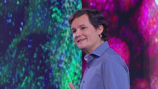 Medicina Computacional