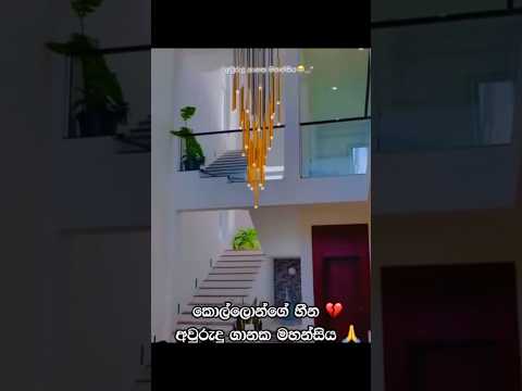 නැවත නැගිටමු #anuradapura #kottawa #viralshort #viralshort #homagama