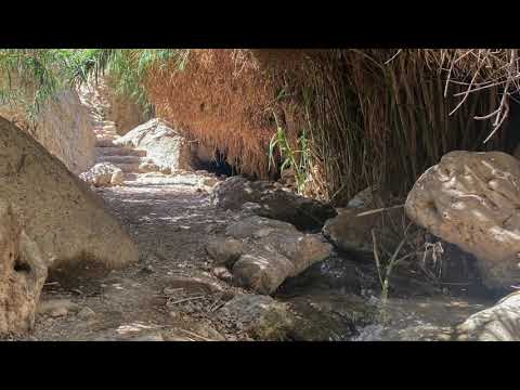 God wijst mij een weg (Opwekking 429) lyrics