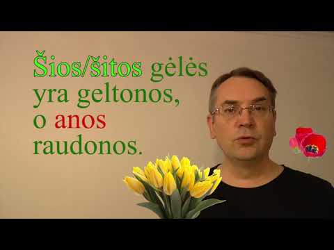 LITHUANIAN LESSON 79 - INDICATIVE PRONOUNS - Parodomieji įvardžiai