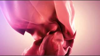 Paparazzi Platinum at ArmaniPriv ft SESA Syke  Sugarstarr GER