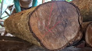 The amazing process of sawing old teak logs full of dense and beautiful fibers in a sawmill