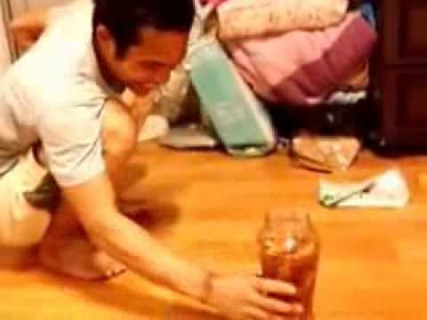 ยาสำหรับราคาที่อ่อนแอ จักรพรรดิแรงราคายา