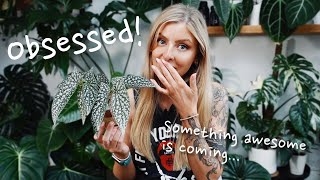 Houseplant Updates! + Tattoo and a little bit of news!