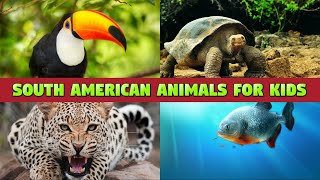 SOUTH AMERICAN ANIMALS - NAMES AND SOUNDS FOR KIDS gameplay video by mgorham, 4:53 duration