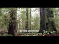 Forest Ambience sound-Room Tone