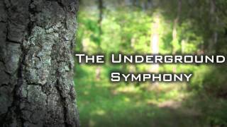 The Underground Symphony