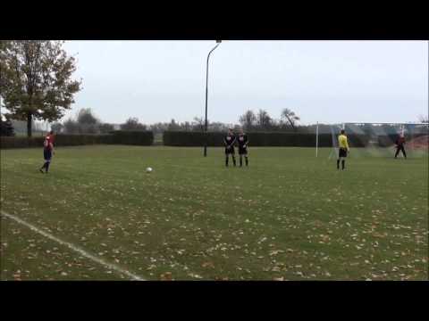 Das beste Hinrunden-Tor der Saison 2012/13