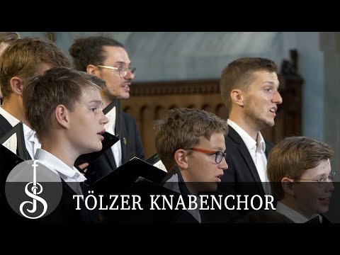 Johann Michael Bach | Halt was du hast - Tölzer Knabenchor