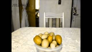 thurday - where the circle ends