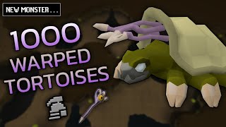 Loot From 1,000 Warped Tortoises