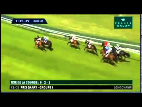 G1 Prix Ganay 2014
