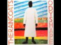 The Raincoats - Family Treet 