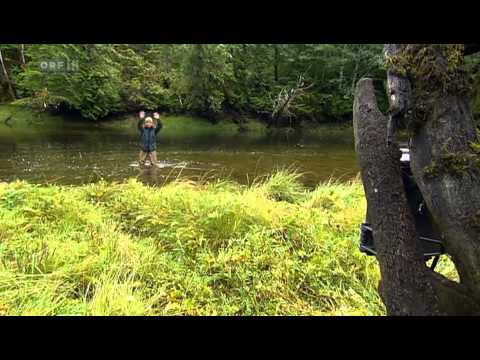 2014 11 20 2015 sd 06 WILDE REISE MIT ERIC Allein unter Woelfen  8811800  o  0001317992  s8814240