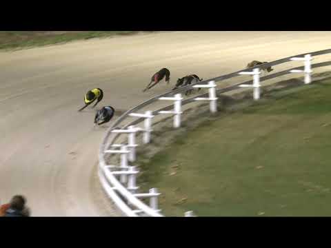 2021.11.19. 03. futam - WGO Bajnokság