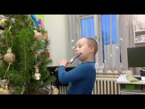 Maxík 6 let, příčná flétna Jupiter JFL700WD