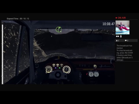 Shim Plays Dirt Rally on PS4