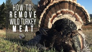 Clean That Gobbler!