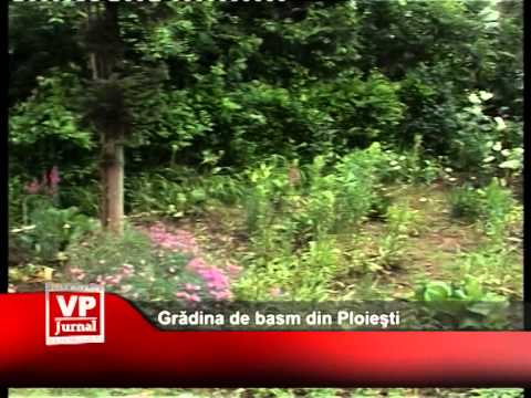 Gradina de basm din Ploiesti
