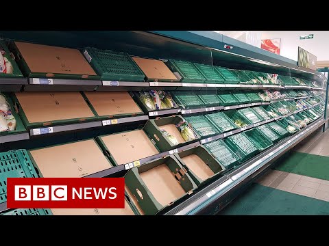 Is Brexit causing food and medicine supply problems in the UK? - BBC News