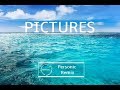 The Spacies Pictures Personic Remix
