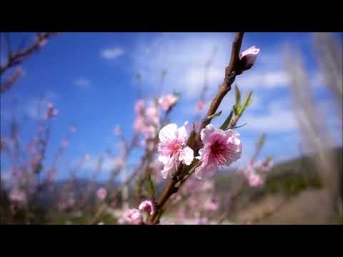 Patrício Teixeira | VÁ PARA A COZINHA | 1929