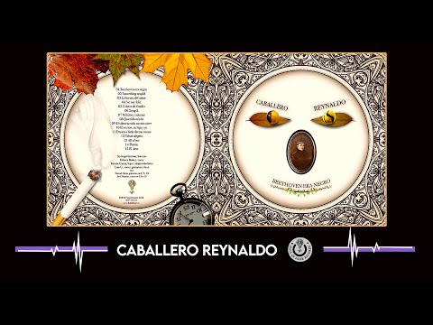 Caballero Reynaldo - Starless (alternate mix)