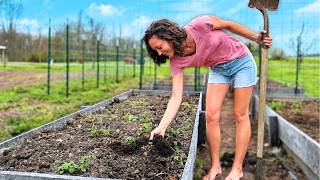 This ONE THING Changed EVERYTHING for Our Garden