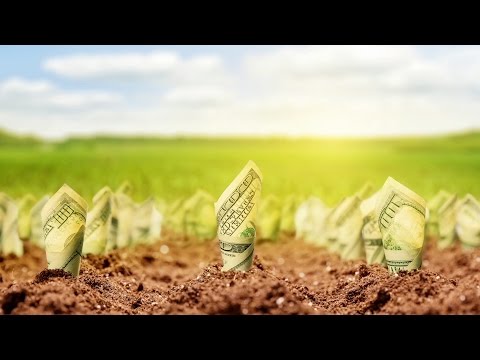 6 Ways Spring Weather Helps Your Money Grow