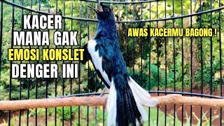 Download lagu KACER GACOR KONSLET FULL ISIAN TEMBAKAN KASAR AMPUH MEMANCING EMOSI KONSLET KACER APA SAJA NYAUT mp3 Download lagu KACER GACOR KONSLET FULL ISIAN TEMBAKAN KASAR AMPUH MEMANCING EMOSI KONSLET KACER APA SAJA NYAUT mp3