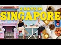 Must Try Food in Singapore Vlog 2024 🇸🇬 Hawker Center, Cafes, What to Do, Places to Eat, City Tour