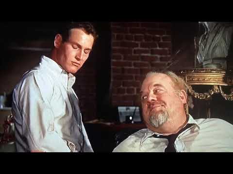 Cat on a Hot Tin Roof- Brick Apologizes