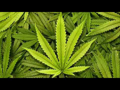 Marijuana (Prod. Leeder)