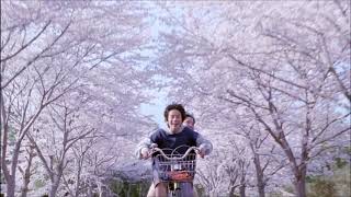 sufjan stevens - eugene