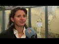 Raadslid Van Groningen: VVD: Borg voor festivals vanwege schade