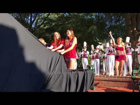 Cocky Statue Unveiling