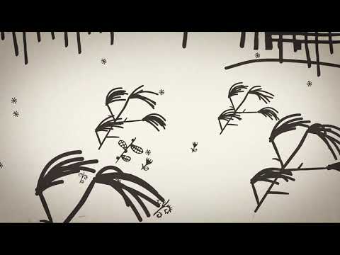 Tau Tama Niue Ma Anoiha