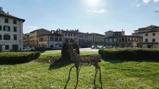 Firenze, il cervo Vittorio (numero 2) torna in piazza Gaddi: il video dall'alto