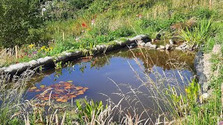 How to Build a Wildlife Pond
