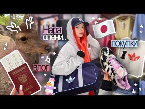ВЛОГ из Японии 🇯🇵🩵: Нара и олени 🦌, шоппинг в Сибуе 🏮, подарки  (Arive, Tesori и др. )🎁 | Часть 3