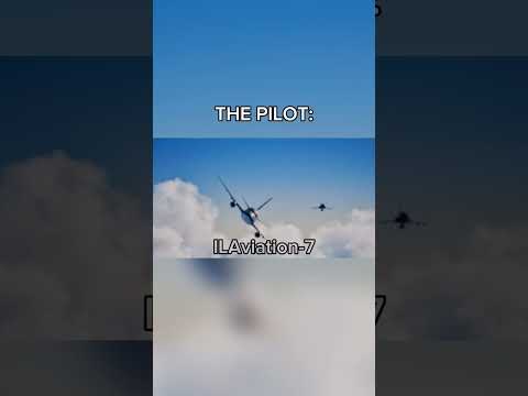 Its just a pilot....captain Fernando Murilo | vasp 375 #shorts